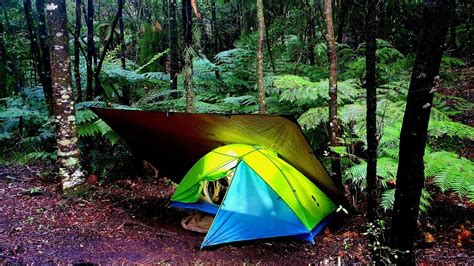 Tarp And Tent Bush Camp In Heavy Rain Nz Bush Solo Overnight Youtube