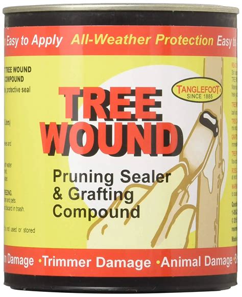 Buy Tanglefoot 98008 Tree Pruning Paint Sealer In Cheap Price On