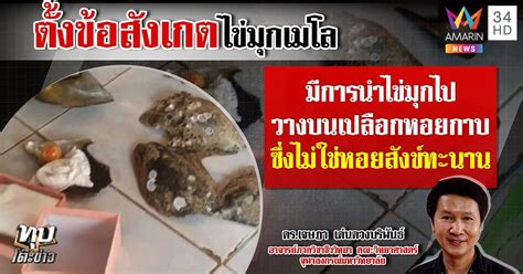 ไข่มุกเมโล (melo pearl) หรือ มุกหอยโข่งทะเล หรือ มุกหอยสังข์ทะนาน เป็นไข่มุกที่เกิดขึ้นตามธรรมชาติ มีโอกาสพบประมาณ 1 ตัวในหอยโข่งทะเลทุกๆ 3,000 ตัว และ. 2 นักวิทย์ชี้พิรุธจริง "ไข่มุกเมโล" เห็นฝาก็ไม่ใช่ ญาติปิด ...