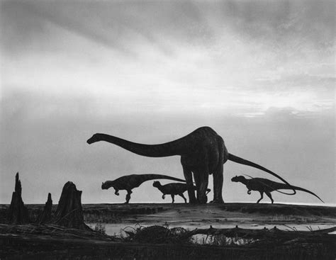 Douglas Henderson Portfolios Prehistoric Animals Ancient Animals