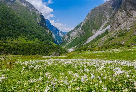 Valley Of Flowers National Park Trekking And Tourism Guide 2019 Ticket