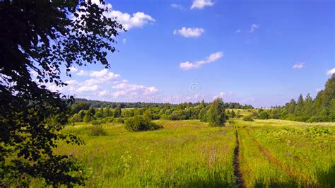 Beautiful Summer Rural Landscape Stock Photo Image Of Background