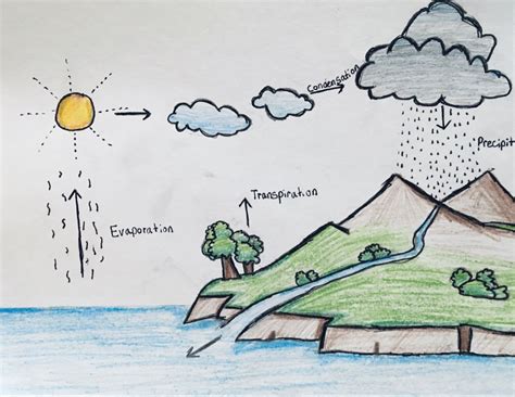 The Water Cycle In 2020 Water Drawing Cycle Drawing Drawings