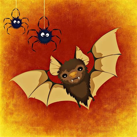 download bat spider happy halloween royalty free stock illustration image pixabay