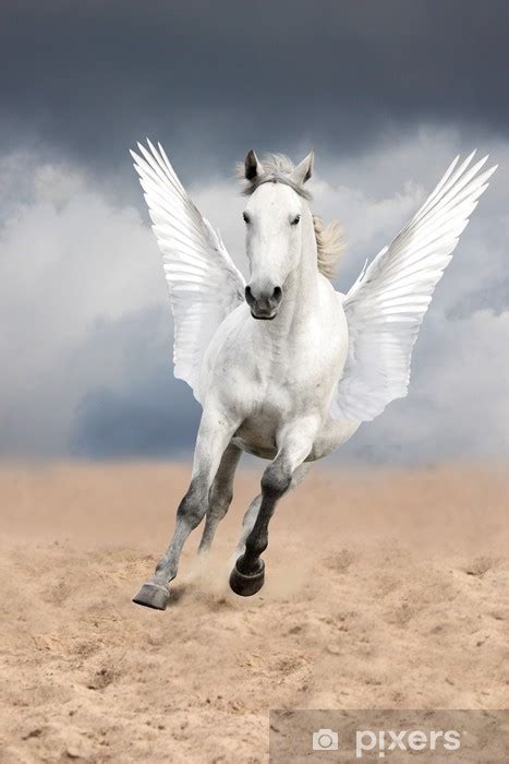 Wall Mural White Horse With Wings Running Free Pixersuk