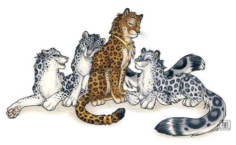 Animal drawings big cats snow leopard. Silver Harem | Leopard art, Big cats art, Warrior cats art