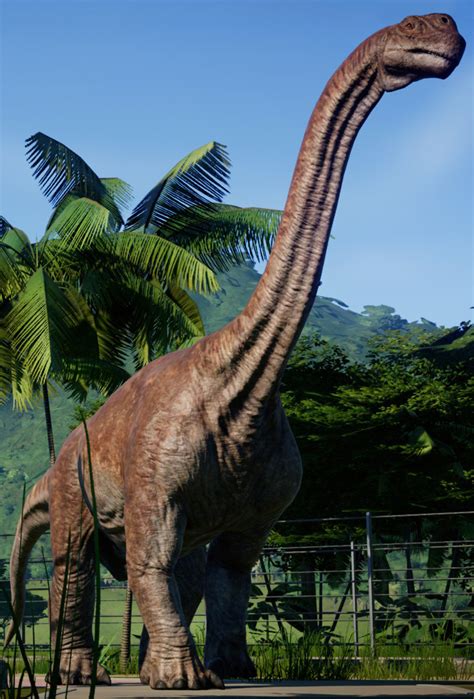 Based on the 2015 film jurassic world, the game was released on 12 june 2018. Camarasaurus | Jurassic World Evolution Wiki | Fandom