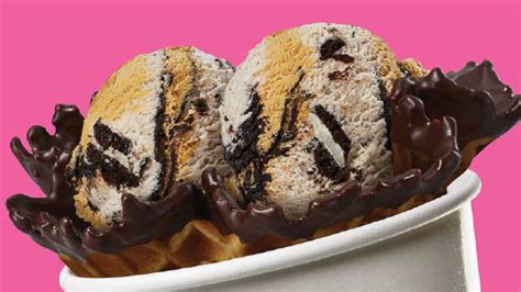 Baskin Robbins New Flavor Of The Month Brings Campfire Vibes