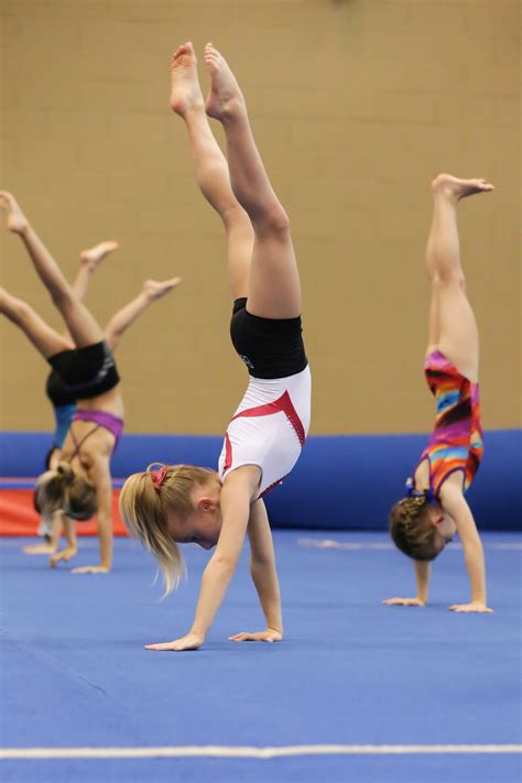 Finding enough clients to keep your gym profitable is key. Handstands in gymnastics - Delta Gymnastics Brisbane, Gold ...