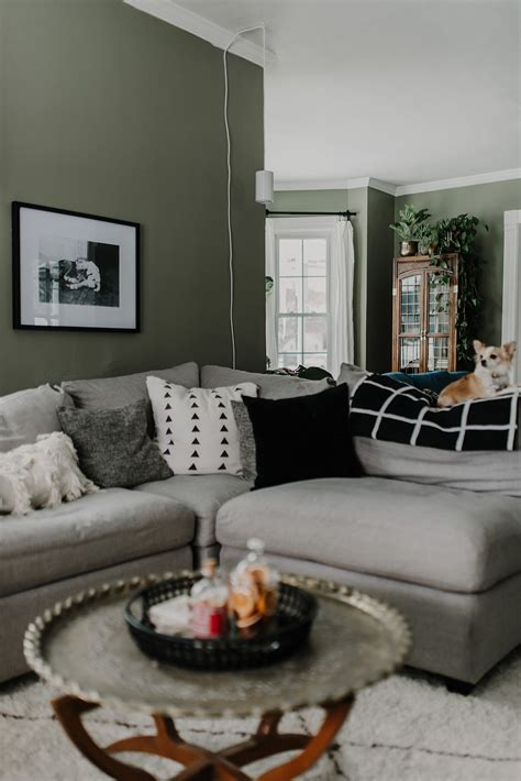 What Color Should I Paint My Living Room With A Sage Green Couch Baci