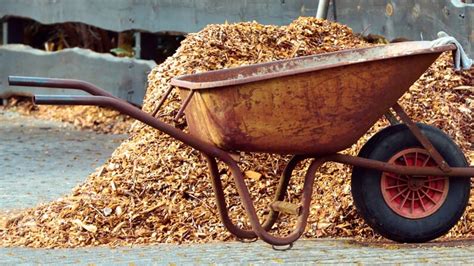 Your garden supply and advice hq. Organic Mulch: What It Is And How to Choose The Best One