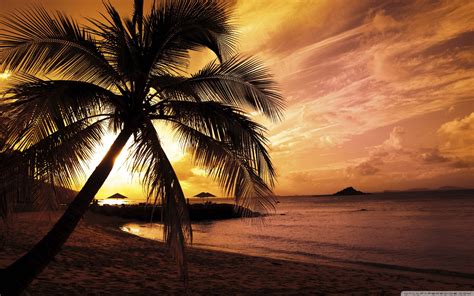 Tropical Island Sunset Wallpapers Wallpaper Cave