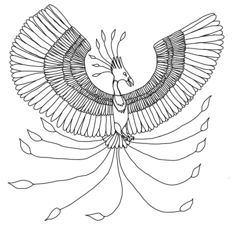 Draw the actual shape of the baby phoenix's head like so, then add the feathery tufts at the back of the head. Phoenix Bird Drawing at GetDrawings | Free download