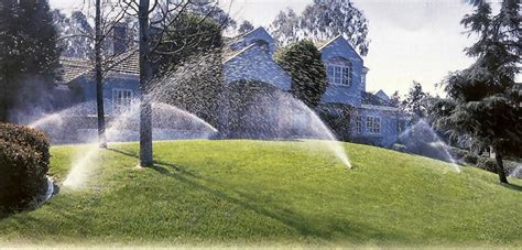 At that time, the air is usually still, which prevents the wind from blowing the water into certain patterns. Summer Watering Guidelines for Texas Lawns | The Grass Outlet | Texas