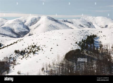 Winter Idyllic On Mountain Resort Zlatibor Serbia Europe And Road In