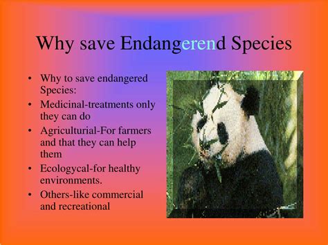 Ppt Endangered Species Powerpoint Presentation Free Download Id