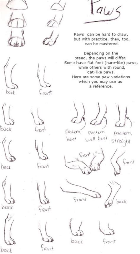 How do you draw a simple cat? how to draw wolves | How to draw a wolf paw pictures 3 ...