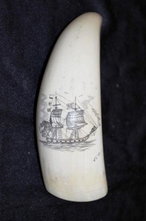 Etched Scrimshaw Whale Tooth 16cm Scrimshaw Precious Objects