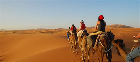 These camels can travel 80 to 120 miles per day carrying a rider. The 10 Best Things To Do in Morocco | Your Travel Guide