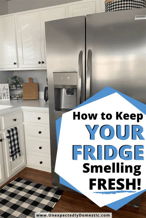 Maybe you would like to learn more about one of these? How to Keep Your Fridge Smelling Fresh Naturally (10 easy ...