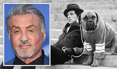 Sylvester Stallone Fortune How Rocky Star Once Had To Sell Beloved Dog