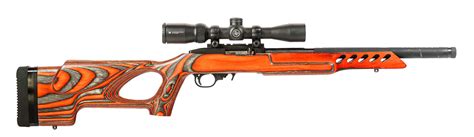 Ruger 1022 Custom 22lr Rifle