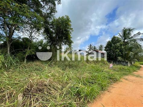 Land For Sale Kurunegala Ikman
