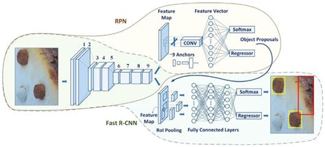 Faster R Cnn Model Structure Download Scientific Diagram Vrogue