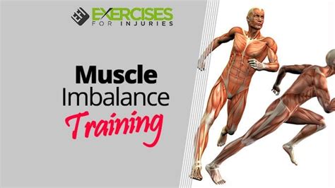 Muscleimbalancetraining 1 Exercises For Injuries
