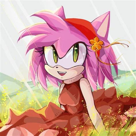 Amyrose By Nikoyosan On Deviantart Amy Rose Amy The Hedgehog Sonic