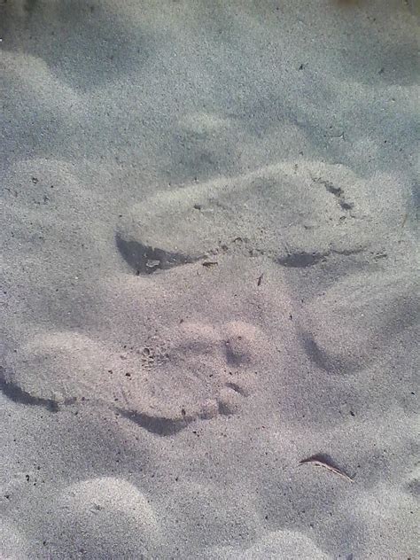 Free Images Beach Sea Sand Rock Ocean Texture Footprint