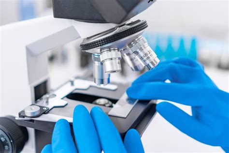 Histopathology Testing Services Toplab® Ny Nj And Nationwide
