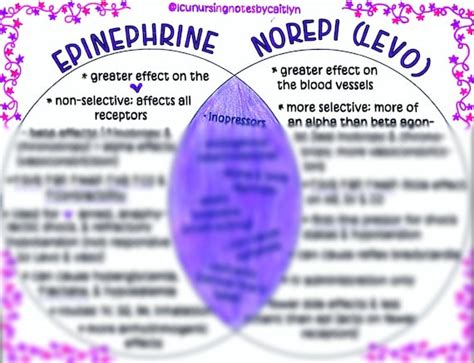 Epinephrine Vs Norepi Levophed Etsy