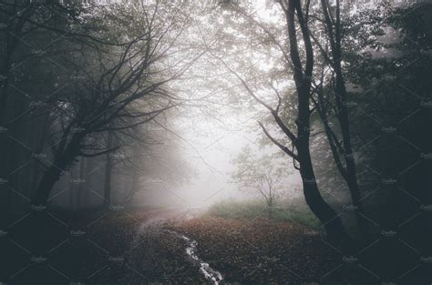 Haunted Forest Path With Fog Haunted Forest Forest Path Spooky Woods