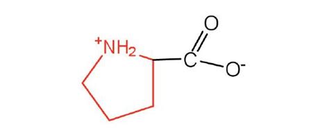 181 Properties Of Amino Acids Chemistry Libretexts