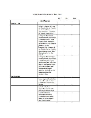 10 Medical Record Audit Form Templates In Pdf