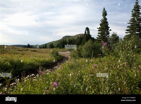 Rural Scene Exterior Hi Res Stock Photography And Images Alamy
