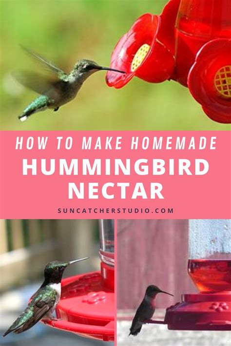 Homemade Hummingbird Nectar Food Sugar Water Ratio In 2021 Homemade Hummingbird Nectar