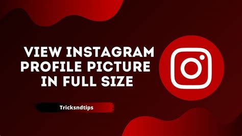 How To View Instagram Profile Picture In Full Size Easy Working Ways