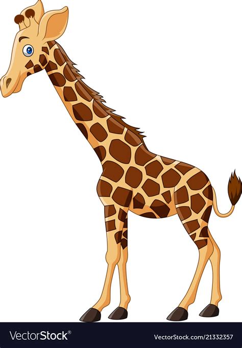 Cartoon Giraffe Isolated On White Background Vector Image