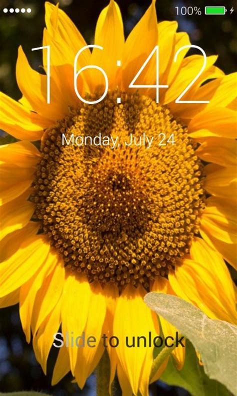Download Do Apk De Sunflowers Lock Screen Para Android
