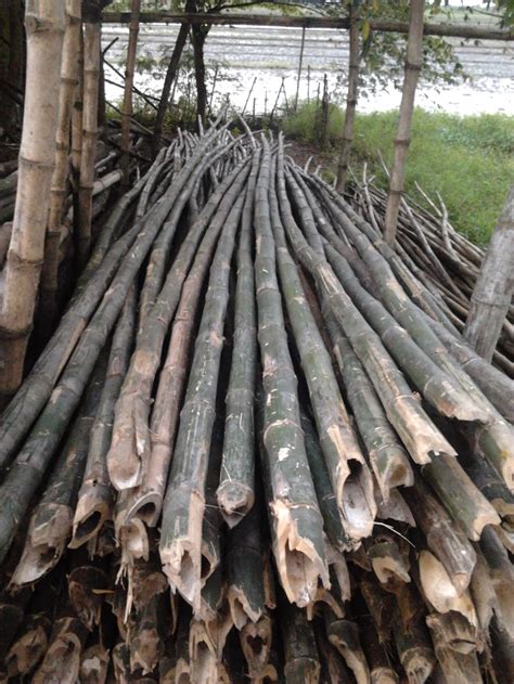 13 kerajinan dari bambu simpel dan unik mudah dibuat kerajinan dari bambu di atas merupakan beberapa contoh dari macam macam kerajinan tangan yang pada umumnya dapat dibuat oleh sumber gambar : GAMBAR ~ GALANGAN BAMBU