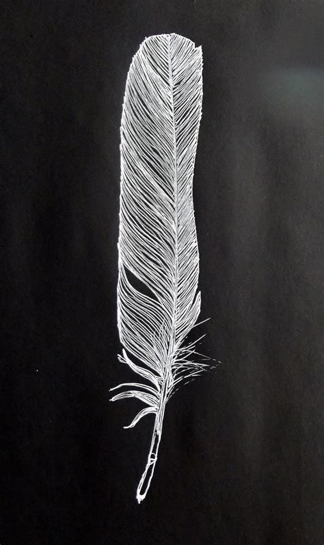 Delicate Stitches Feather Drawings