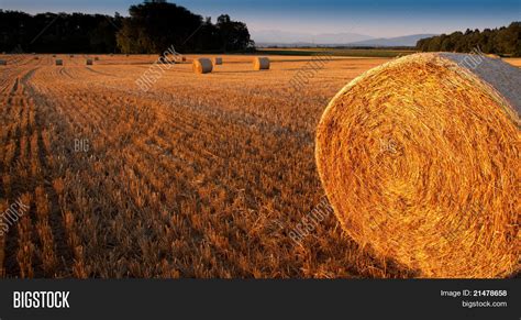 Wheat Straw Bale Image And Photo Free Trial Bigstock