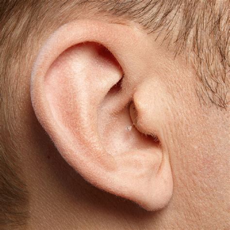 Modellvarianten Bei uns finden Sie das passende Hörgerät