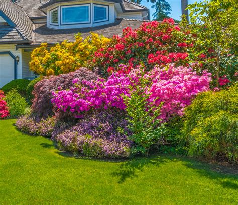 40 Colorful Garden Ideas Color Explosion