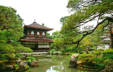 Wallpaper Greens Water Pond Park Japan Pagoda Pine Images For