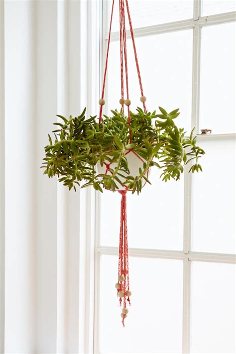 Diy Finger Knit Hanging Plant Holder Flax And Twine Hanging Plants