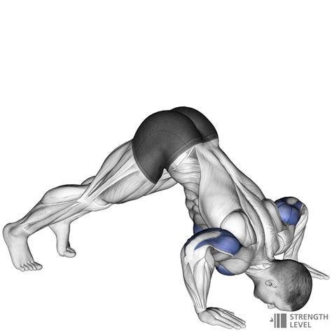 Pike Push Up Standards For Men And Women Lb Strength Level