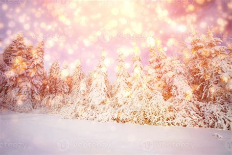 Winter Landscape Trees Snowbound Bokeh Background With Snowflak